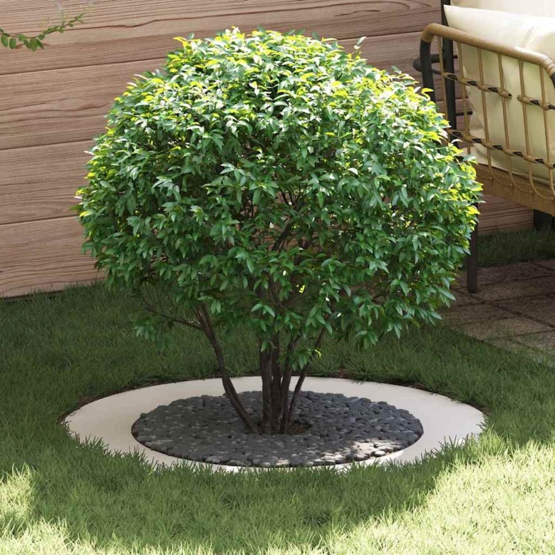 adapté pour anneaux d'arbre plats 5 pcs Blanc Ø60 / 90 cm Acier 554918554918