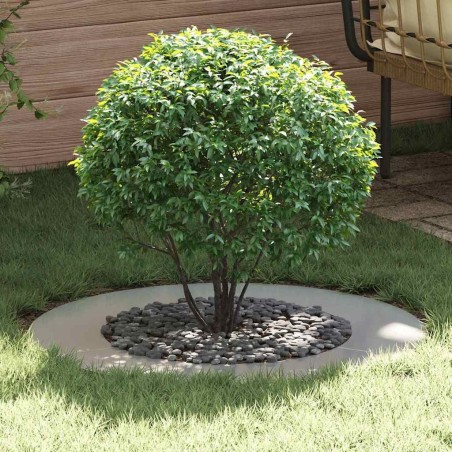 adapté pour anneau d'arbre plat Argent Ø50 / 80 cm 554922554922