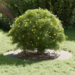 adapté pour anneaux d'arbre plats 5 pcs Argent Ø50 / 80 cm 554923554923