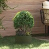Anneau de jardinière 5 pcs Vert olive 30 x 30 x 20 cm 554925554925