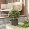 Anneau de jardinière Noir 30 x 30 x 20 cm Acier laminé à froid 554933554933