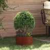 Anneau de jardinière 5 pcs Marron 30 x 30 x 20 cm Acier patiné 554953554953