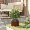 Anneau de jardinière 5 pcs Marron 30 x 30 x 20 cm Acier patiné 554953554953
