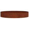 Anneau de jardinière Marron 120 x 120 x 20 cm Acier patiné 555119555119
