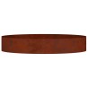 Anneau de jardinière Marron 120 x 120 x 20 cm Acier patiné 555119555119
