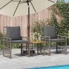 Ensemble de meubles d'extérieur 3 pcs Noir et Gris foncé 555311555311