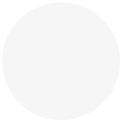 Autocollant 2 pcs Blanc Ø 20 x 0,5 mm Papier 555366555366