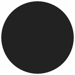 Couverture de vis auto-adhésive 2 pcs Noir Ø 20 x 0,5 mm 555412555412