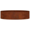 Anneau de jardinière Marron 80 x 80 x 20 cm Acier patiné 555439555439