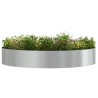 Anneau de jardinière Argenté 120 x 120 x 20 cm Acier galvanisé 555440555440