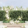 Arche de mariage Blanc 195 x 35 x 211 cm Acier 555521555521