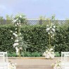 Arche de mariage Doré 150 x 49,5 x 200 cm Acier 555522555522