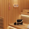 Ensemble d'accessoires de sauna 4 pcs Noir 555530555530