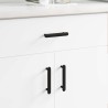 Poignée de cabinet 2 pcs Noir 121 x 16.6 x 28.3 mm Fer 555611555611