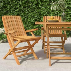 Chaises de jardin pliantes lot de 2 61x67x90cm bois massif teck 555653555653