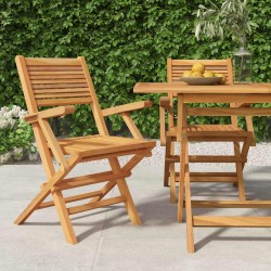 Chaises de jardin pliantes lot de 2 55x62x90cm bois massif teck 555656555656