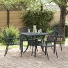 Chaise de jardin 4 pcs Anthracite 56 x 65 x 89 cm Acier 555658555658
