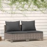 Canapé de jardin 2 places avec coussins Gris Résine tressée 555683555683