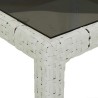Table de jardin blanc 250x100x75 cm résine tressée verre trempé 555688555688
