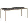 Table de Jardin Beige 190 x 90 x 75 cm polyrotin 555697555697