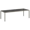 Table de Jardin Gris 250 x 100 x 75 cm polyrotin 555699555699
