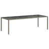 Table de Jardin Gris 250 x 100 x 75 cm polyrotin 555699555699