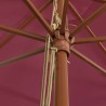 Parasol de jardin avec mât en bois rouge bordeaux 400x273 cm 555779555779