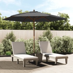 Parasol de jardin avec mât en bois anthracite 299x240 cm 555860555860