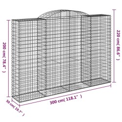 Paniers à gabions arqués 2 pcs 300x50x200/220 cm fer galvanisé 556135556135