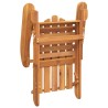 Chaises Adirondack de jardin lot de 2 Bois massif d'acacia 556225556225