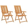 Chaises de jardin inclinables lot de 2 bois massif d'acacia 556342556342