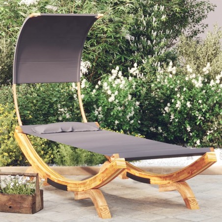 Lit repos et auvent 100x200x126 cm Bois courbé Anthracite 556464556464