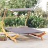 Lit repos et auvent 165x203x138cm Bois courbé massif Anthracite 556501556501