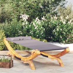 Lit de repos extérieur 100x188,5x44 cm Bois courbé Anthracite 556502556502