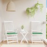Coussins de chaise jardin lot de 2 vert 40x40x4 cm tissu oxford 556505556505