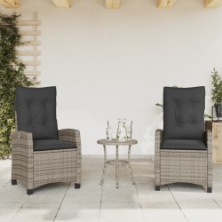 Chaises inclinables de jardin lot de 2 et coussins gris rotin 556586556586