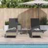 Transat 3 pcs Gris clair et gris foncé 200 x 55 x 92 cm 556607556607