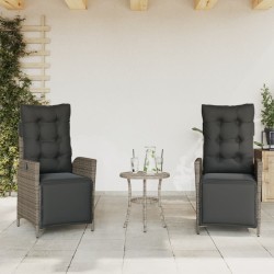 Chaises inclinables de jardin lot de 2 et repose-pied rotin 556637556637