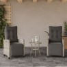 Ensemble de bistro 3 pcs et coussins gris clair résine tressée 556647556647