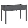 Jardinière avec doublure gris 118x59x76 cm bois massif de sapin 556720556720
