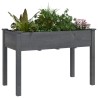 Jardinière avec doublure gris 118x59x76 cm bois massif de sapin 556720556720