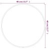 Miroir mural Argenté Ø 40 cm Rond 556849556849