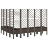 Jardinière avec treillis marron 200x160x142 cm PP 557104557104