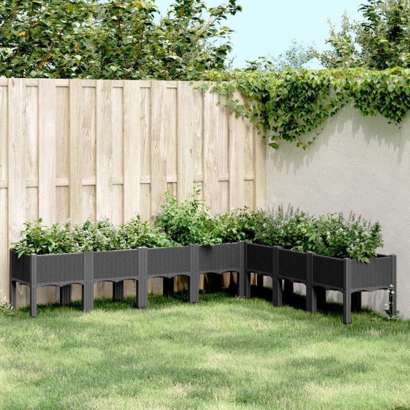Jardinière avec pieds noir 200x160x42 cm PP 557109557109