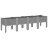 Jardinière avec pieds gris clair 160x40x42 cm PP 557110557110