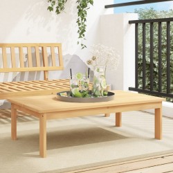 Table de jardin 100x60x30 cm bois d'acacia solide 557123557123
