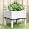 Jardinière avec pieds blanc 40x40x42 cm PP 557419557419