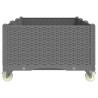 Jardinière à roulettes gris clair 150x80x54 cm PP 557423557423