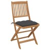 Chaises pliables de jardin lot de 8 avec coussins Bois d'acacia 558261558261