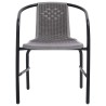 Chaises de jardin lot de 2 Plastique Rotin et acier 110 kg 558697558697